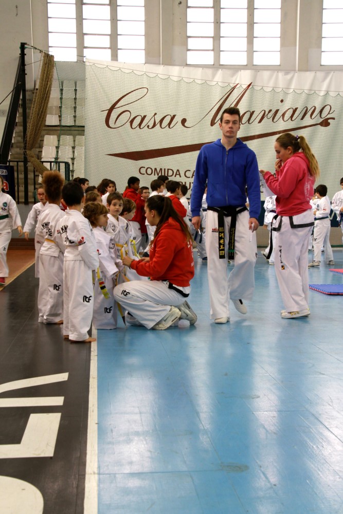 Taekwondo Dic 2016 (18).jpg